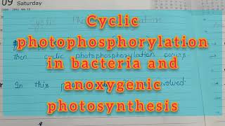 Bacterial Photosynthesis Part 3 [upl. by Naoj582]