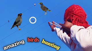 ultimate birds hunting with handmade slingshot [upl. by Ynaffi]