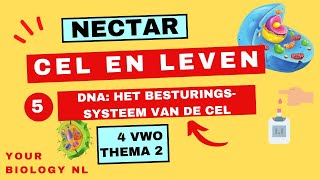 4 vwo  Cel en leven  5  DNA het besturingssysteem van de cel [upl. by Ongun]