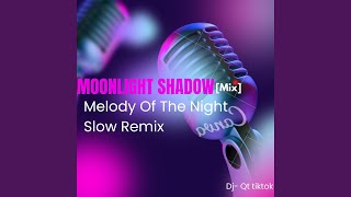 Moonlight Shadow mix Melody Of The Night slow Remix [upl. by Birdella]