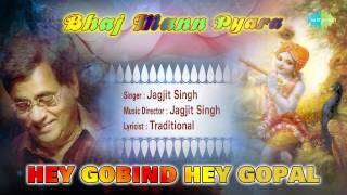 Hey Gobind Hey Gopal  Hindi Devotional Song  Jagjit Singh [upl. by Mairem955]