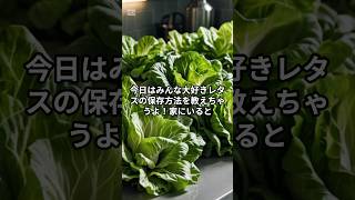 シャキシャキレタスの保存方法 レタスレシピ 食材の保存方法 今日のごはん [upl. by Rudin844]