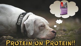 BEST Protein Dry Dog Food  Orijen Pet Food Review [upl. by Aihgn]