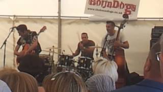 The Houndogs at Sywell Classic Piston amp Props performing 2 tracks [upl. by Lombard]