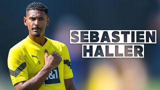 Sebastien Haller  Skills and Goals  Highlights [upl. by Ciaphus]