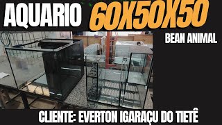 NANO 60X50X50 SISTEMA BEAN ANIMAL  CLIENTE EVERTON IGARAÇU DO TIETE SP [upl. by Etterrag]