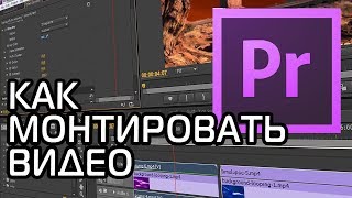 КАК МОНТИРОВАТЬ ВИДЕО  Adobe Premiere Pro Урок 1 [upl. by Atirhs]