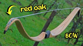 Making a Red Oak Recurve Bow [upl. by Aiahc]