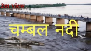 CHAMBAL RIVER chambal nadi All information about chambal river [upl. by Zerimar]