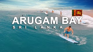 Surfing in arugambay  sri lanka [upl. by Teragramyram]