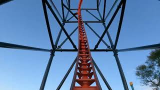 Tigris front row Thanksgiving Day POV at Busch Gardens Tampa [upl. by Nethsa239]