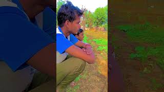 Seese ka dil mera youtubeshorts nature farming farmerslife shortvideo shortvideo shortvideo [upl. by Dibri]