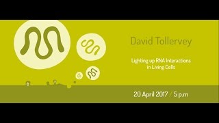 MENDEL LECTURES  David Tollervey  Lighting up RNA Interactions in Living Cells  2042017 [upl. by Filip]