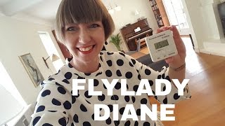 Flylady Diane  Zone 5 the living room Intro April 2017 [upl. by Valene]