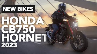 2023 Honda Hornet CB750  Allnew Honda Naked Specs and Details [upl. by Fogg]