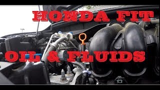 How to check oil and fluids in HONDA FIT Maintenance [upl. by Analad]