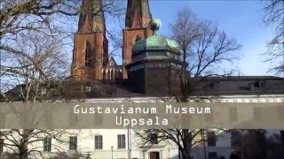 The Giants of Sweden and The Bible 8  Museum Cover Ups and GMO in Uppsala 2016 [upl. by Ijies326]