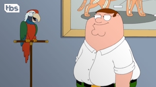 Family Guy Peter Gets a Parrot Clip  TBS [upl. by Nellda]