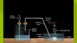 Laboratory Preparation Of Hydrogen [upl. by Robbert838]