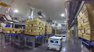 AGV amp Robotic Palletising System [upl. by Atsyrc]