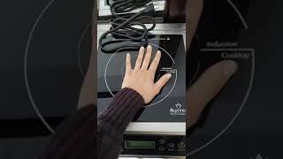 Duxtop Professional Portable Induction Cooktop Commercial Range Count [upl. by Nydnarb977]