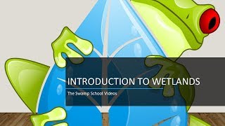 Introduction to Wetlands [upl. by Airt]