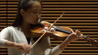 Haydn Violin Concerto in C Major 1st mvt [upl. by Byrn31]