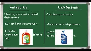 Antiseptic Vs Disinfectant differences English [upl. by Gambell]