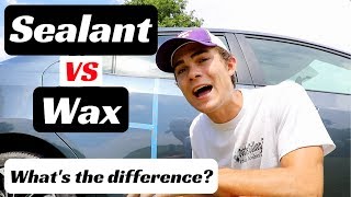 Car Paint Sealant VS Wax Whats the difference amp When to use them [upl. by Trace]