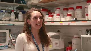 Dr Jenna Carpenter explains her research project exploring a gene therapy for Dravet Syndrome [upl. by Acyre834]