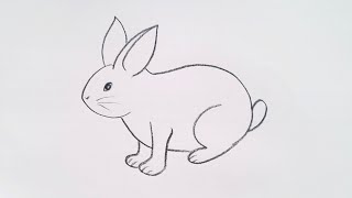 how to draw rabbit drawing easy step by stepKid Drawing Talent [upl. by Gnilrad]