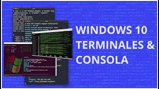 Consolas y Terminales en Windows 10  Cmder Git Bash Windows Terminal Cygwin [upl. by Samson]