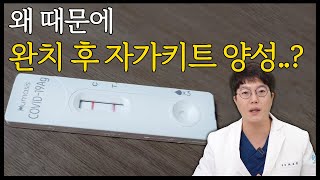 코로나 완치후 자가키트 양성 재감염 가능성은 l 격리해제 후 양성 l 완치후 기침 l [upl. by Fraase]