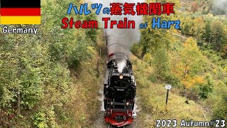 steam locomotives on Harz in Germany  German cuisine  Europe railway travel [upl. by Fezoj]