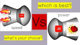 177 vs 22 which caliber is better  Impossible question [upl. by Bucky]