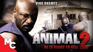 Animal Are Beautiful People Full Movie  WarnerBros WB [upl. by Drape]