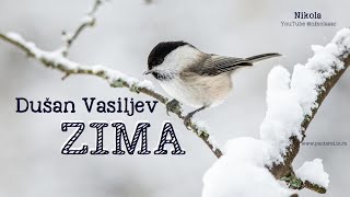 Dušan Vasiljev – ZIMA Tekst [upl. by Yusem]