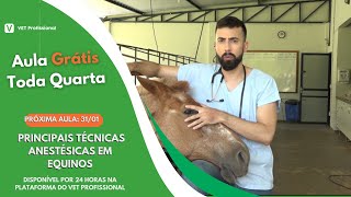 Anestesia Loco Regional na Cabeça de Grandes Animais [upl. by Uranie]