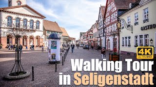 Walking tour in Seligenstadt [upl. by Novaj350]