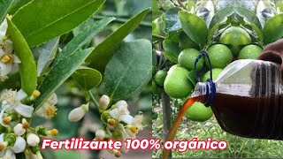 Fertilizante 100 Orgánico para evitar la caida de las flores y frutos de tus árboles frutales [upl. by Krefetz660]