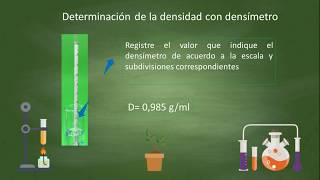 Densidad utilizando densímetro [upl. by Mendive]