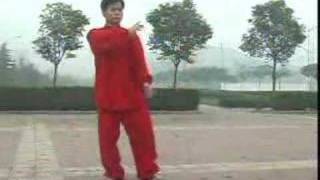 chen style taijiquan 36 forms [upl. by Isola640]