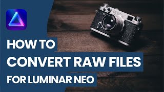 How to CONVERT RAW Files for LUMINAR NEO Adobe DNG Converter [upl. by Aracal]