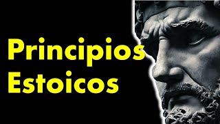 Estoicismo cuatro principios básicos  Lo que todo estoico debe saber [upl. by Eiuol697]