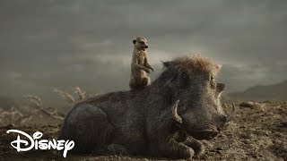 Hakuna Matata  El Rey leon 2019 Español Latino [upl. by Nilre]