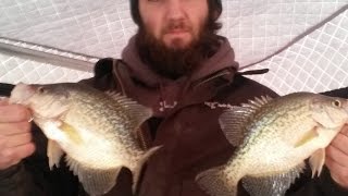 Mississippi River Crappie Fishing La Crosse WI [upl. by Troth]