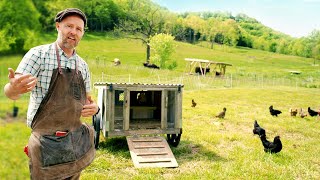 How to Get Started with Chickens Everything you need to know [upl. by Pegasus]