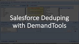 Salesforce Deduping with DemandTools [upl. by Lamoureux222]