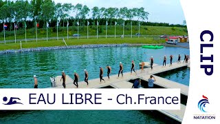 10km de nage dans une eau à 16°C  les Championnats de France deau libre  CLIP [upl. by Ellwood]