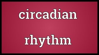 Circadian rhythm Meaning [upl. by Sonitnatsok]